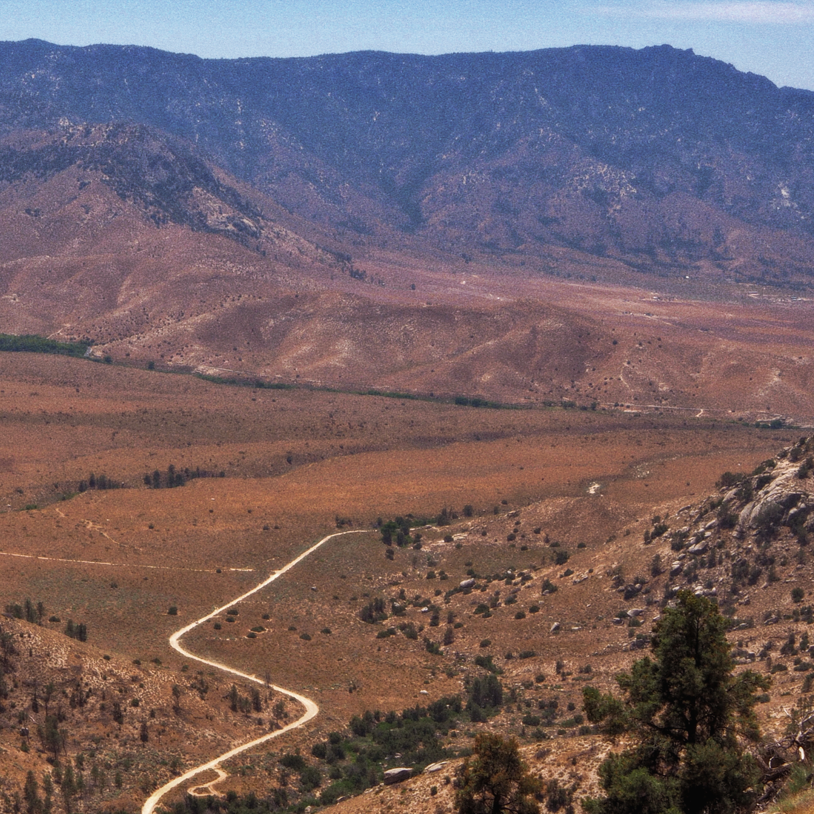 desert