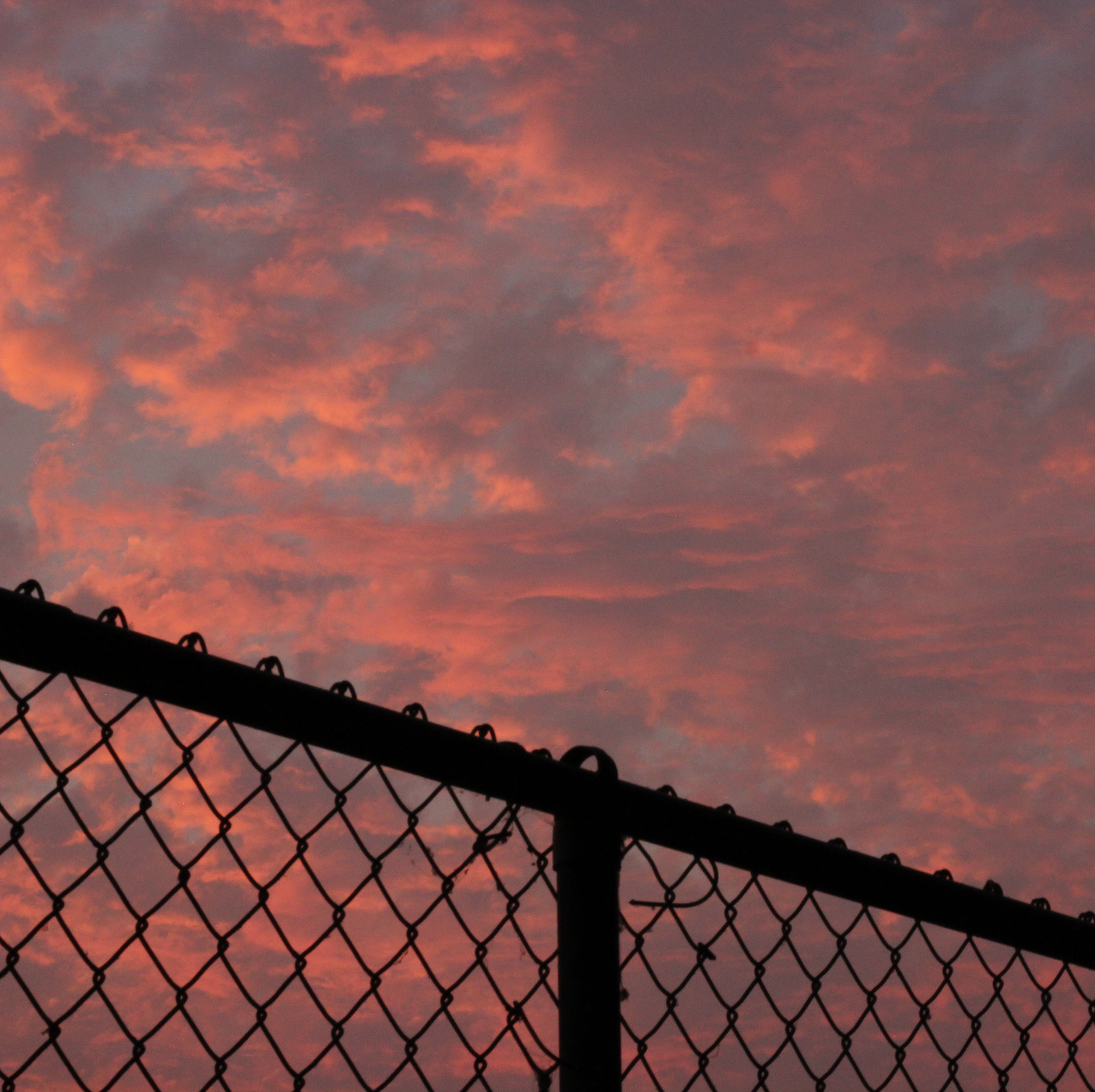 fence