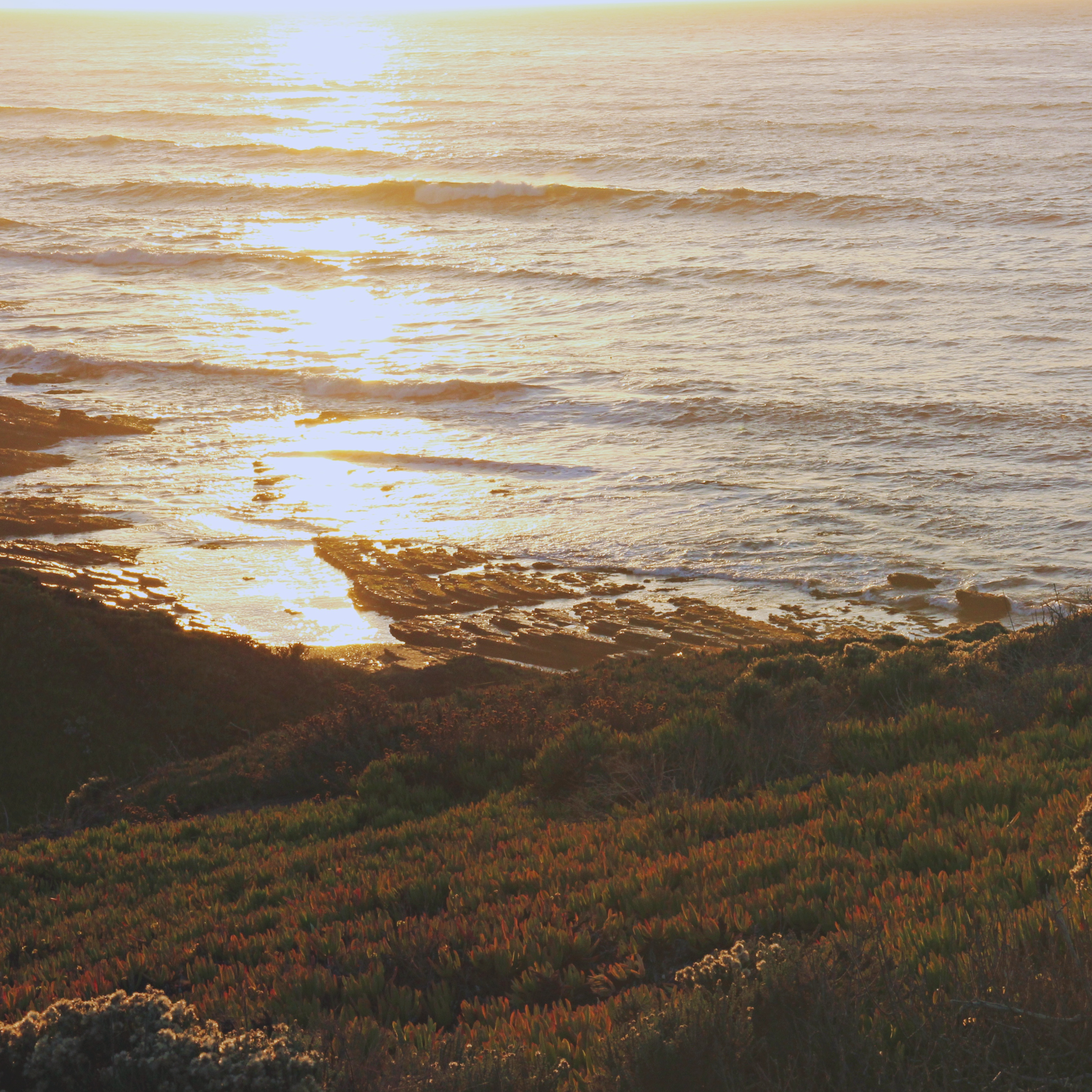 ocean2