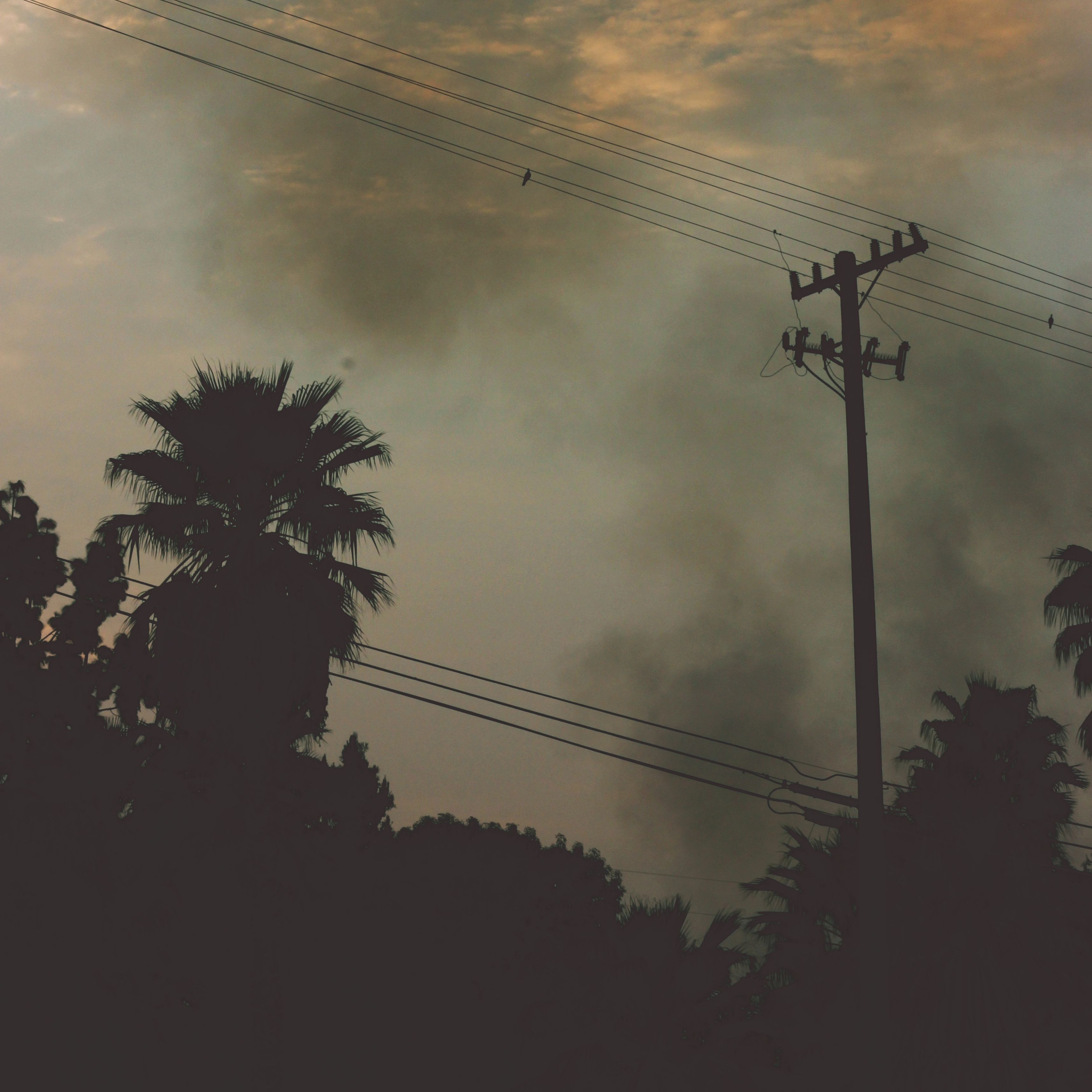 smoke
