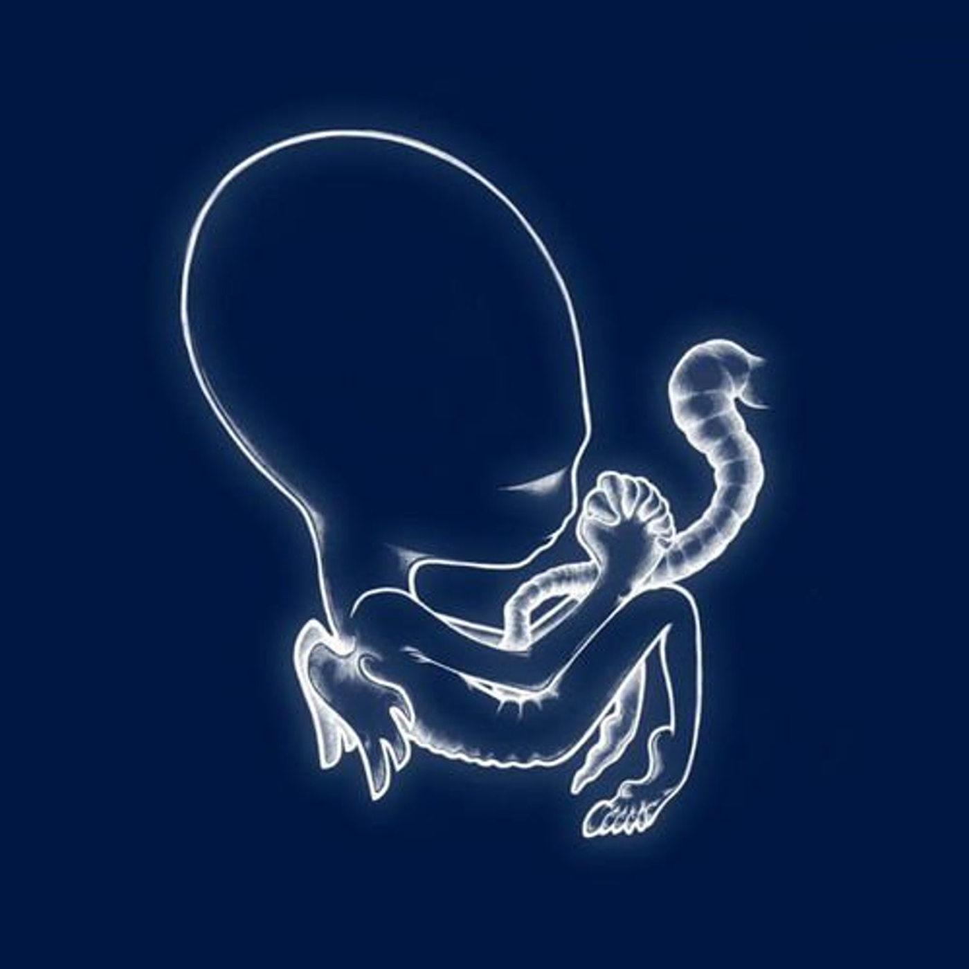 Sigur Rós  - Ágætis Byrjun album cover
